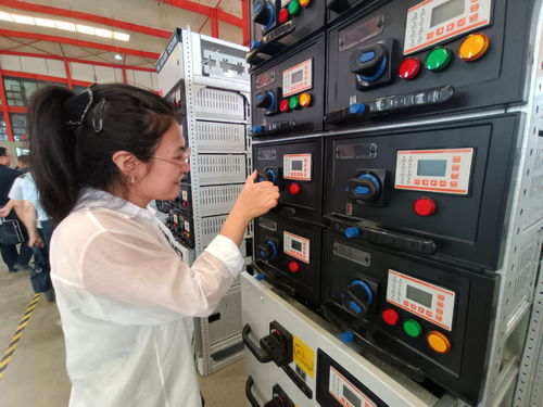 建設國家區(qū)域中心城市工作一線跟班學習干部赴長城電氣調(diào)研